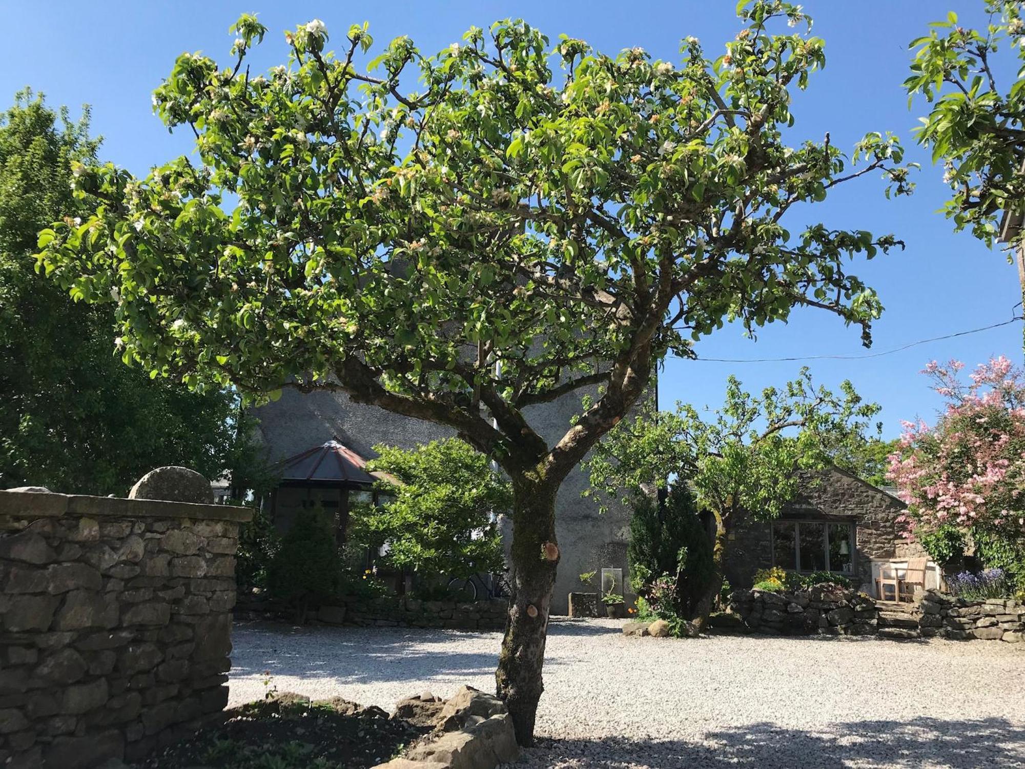 Willa Pear Tree Barn Crooklands Zewnętrze zdjęcie